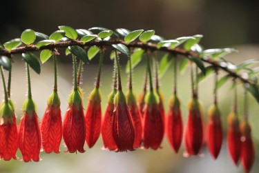 佛山禅城区私人快速借钱网，轻松解决资金难题