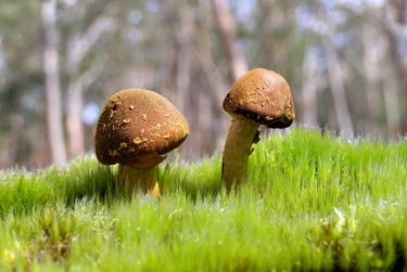 佛山禅城区私人老板放款：轻松融资的秘密通道